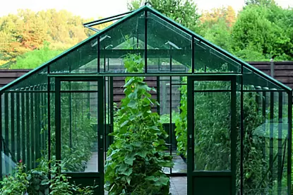 Теплица CLASSIC 30_3